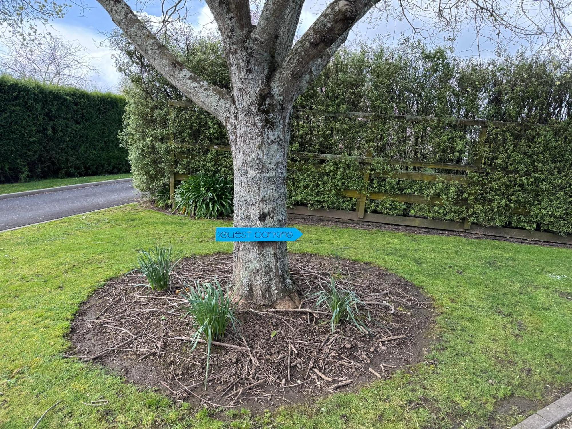 200 On View 4* Karapiro